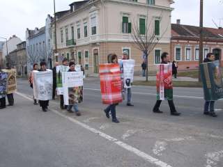 2013.02.09. Farsangi felvonulás 056.JPG 2013.02.09. Farsangi felvonulás 056.JPG